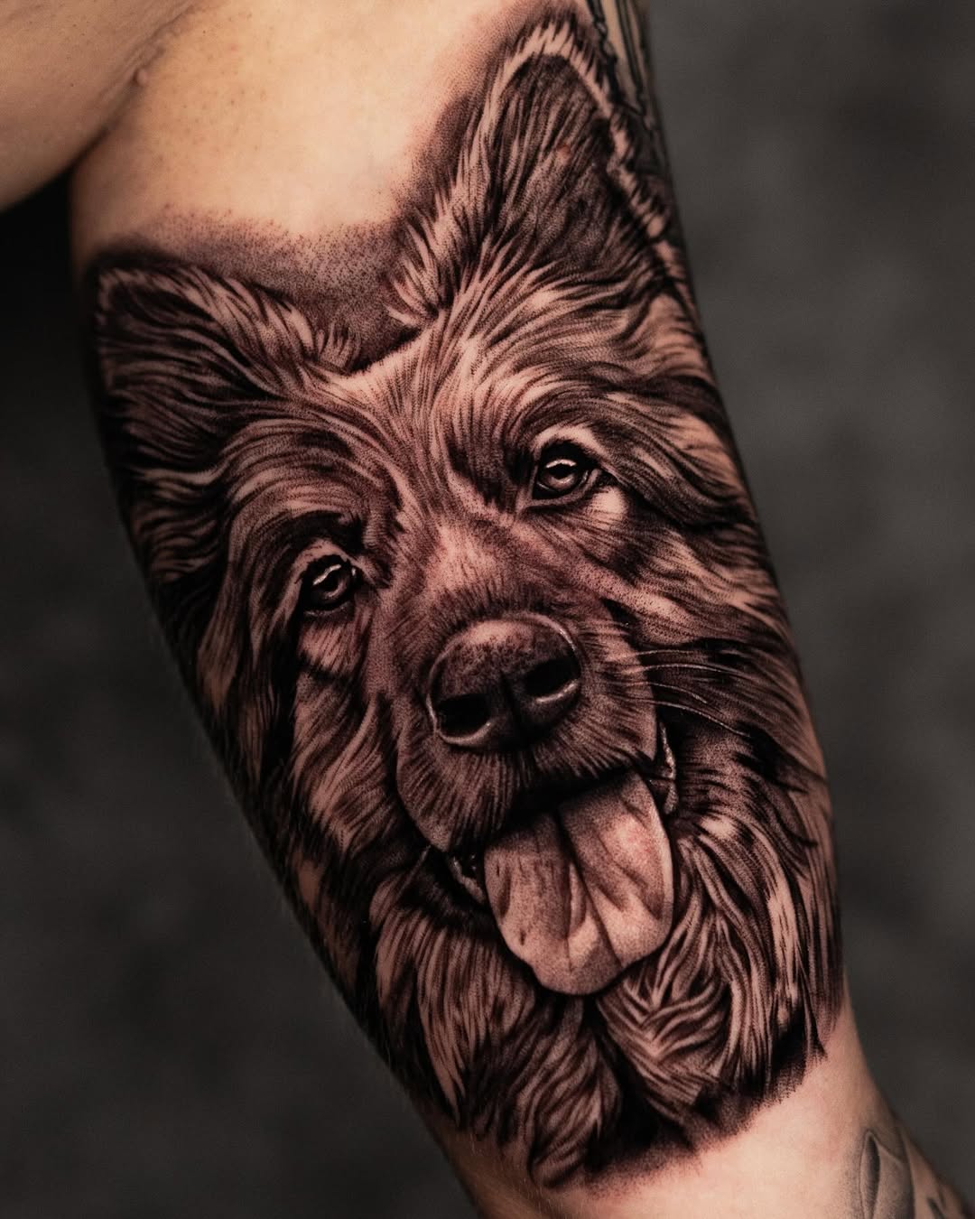 Vincent - Royal Ink