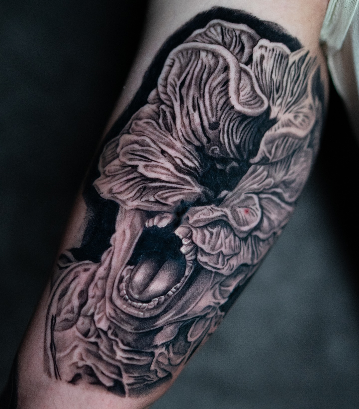 Vincent - Royal Ink