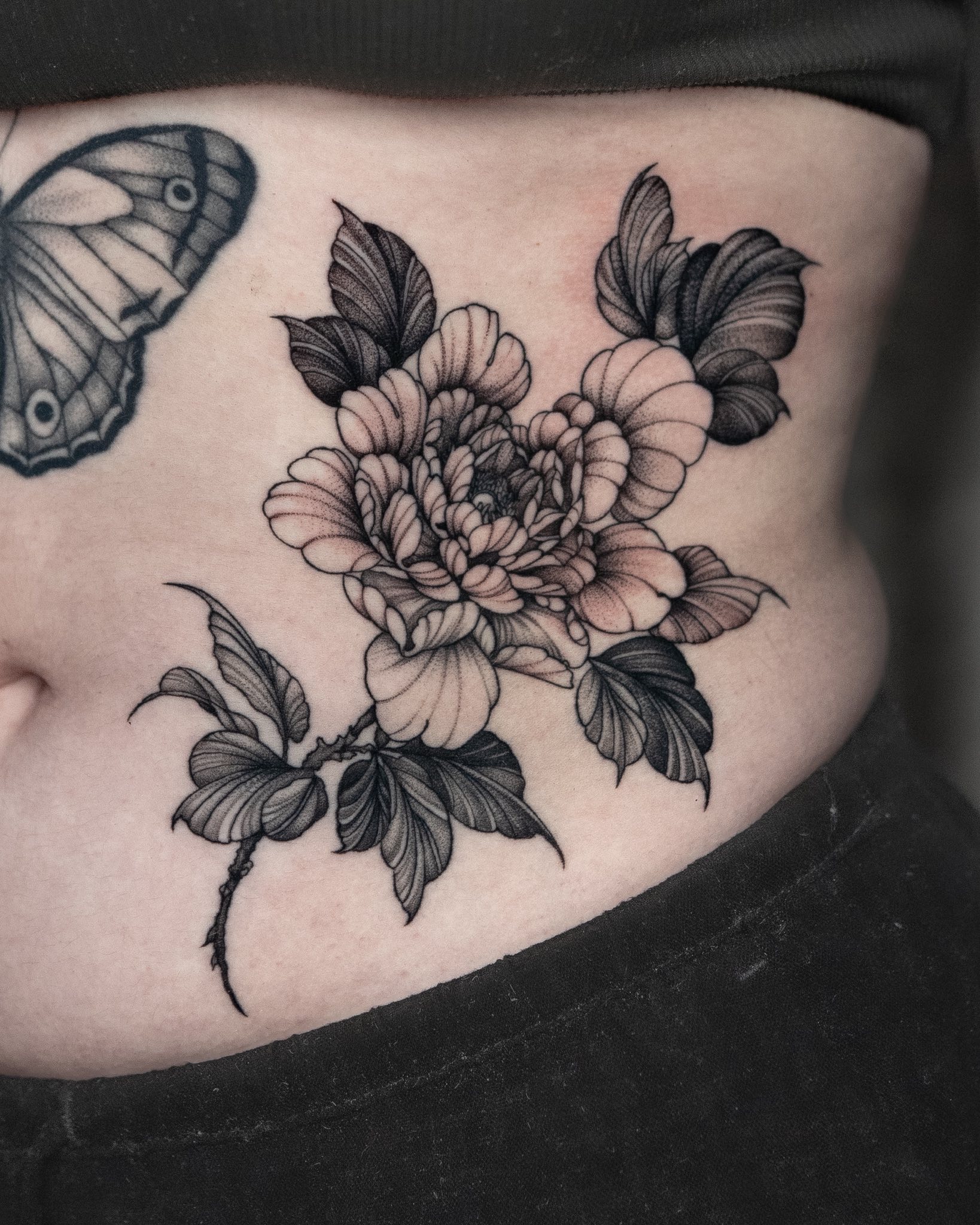 SAVANNAH - Royal Ink